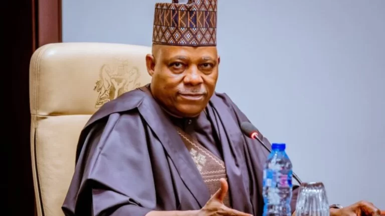 Vice-President-Kashim-Shettima-1-e1714998118871-1280x720