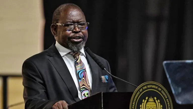 South Africa Halts Planned VAT Hike After Pushback