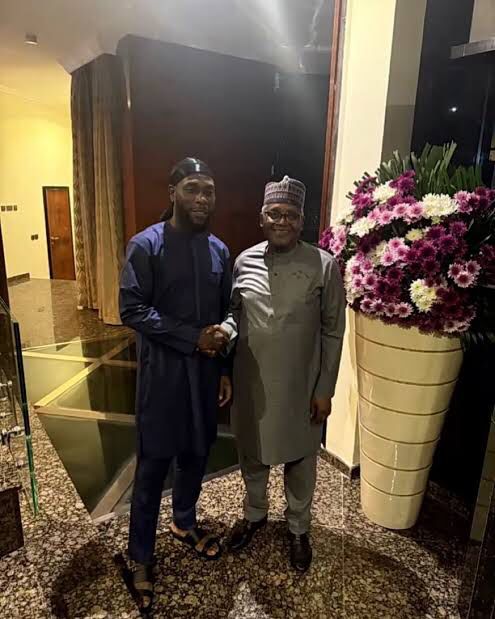 Burna Boy, Dangote Named Among Notable Peace Icons in Africa