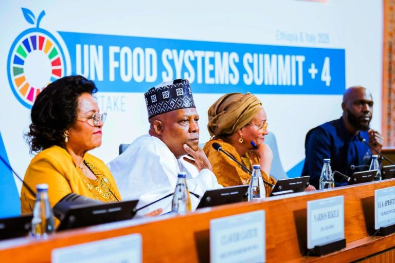 Nigeria Maps 10-year Youth-led Agricultural Renewal Plan